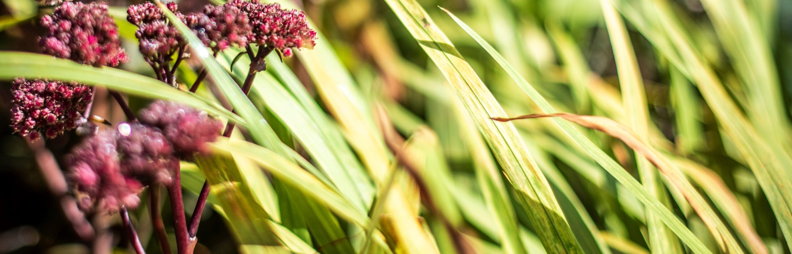Saskia Oomkes- Anke Bot Fotografie-6186