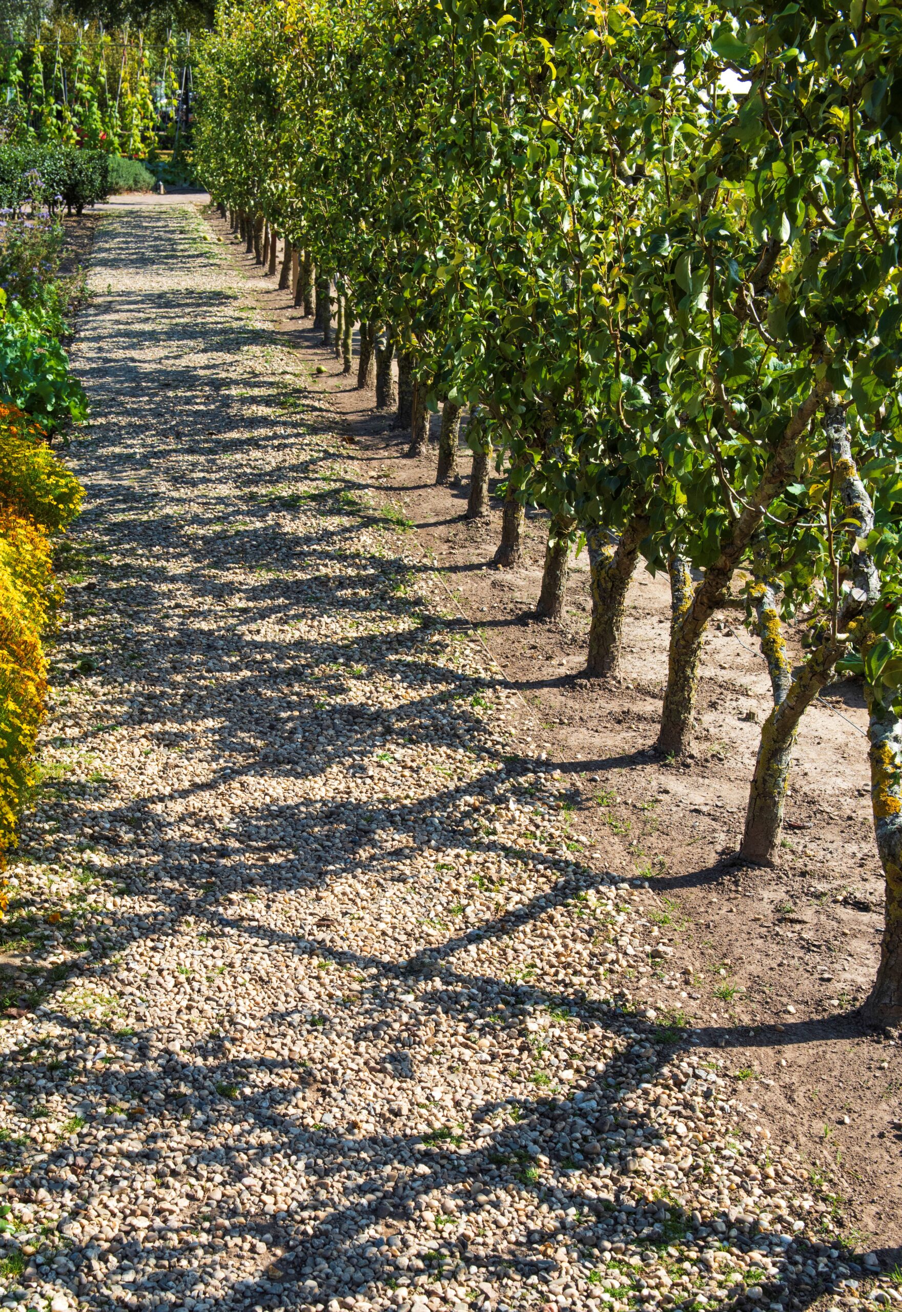Beter slapen zonder medicatie met energiewerk